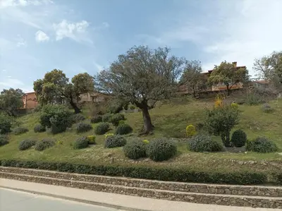 Jardín al aire libre en Mi capricho de Candeleda