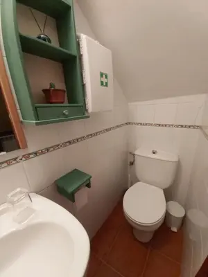 Un baño de Arco del Tinte 10