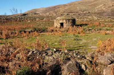 Paisaje cerca de este hotel