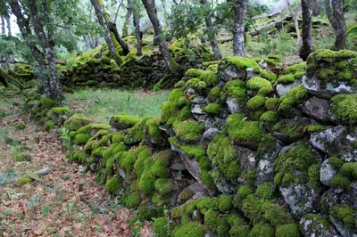 Paisaje cerca de este hotel