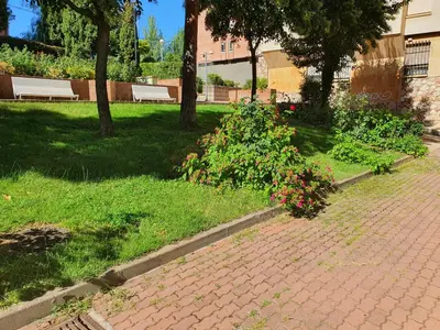 Jardín al aire libre en Las Mejores VISTAS de SALAMANCA!!!