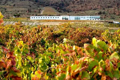 Paisaje cerca de este hotel