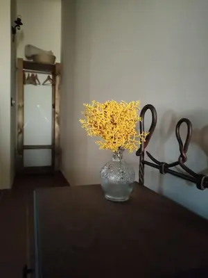 Plano de La casa de la abuela Amalia