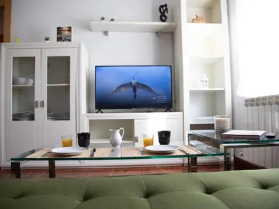 Una televisión o centro de entretenimiento en Alojamiento Turistico Zamora 58