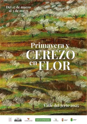 Plano de Estudio con cocina y baño privado