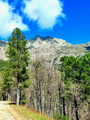 Paisaje cerca de este apartamento