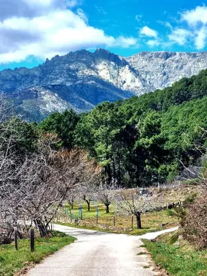 Paisaje cerca de este apartamento