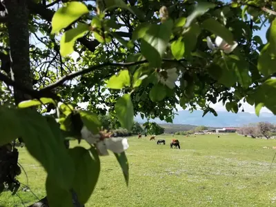 Paisaje cerca de esta villa