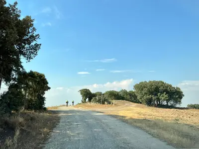 Paisaje cerca of this country house