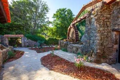Jardín al aire libre en Aqua Et Oleum