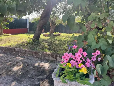 Jardín al aire libre en Casa situada en un entorno natural Casa Rural La Serena