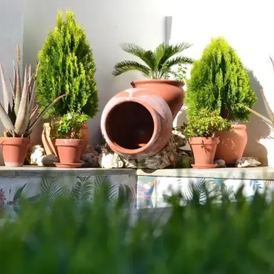 Casa Rural La Madroña