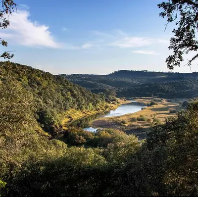 Paisaje cerca de este apartamento