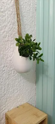 Plano de Apartamento turístico 