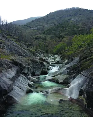 Paisaje cerca de este apartamento