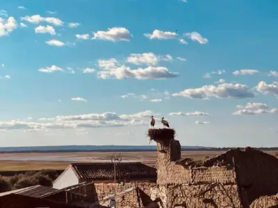 Paisaje cerca de esta casa o chalet