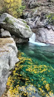 Paisaje cerca de este hostal o pensión