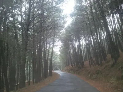 Paisaje cerca de este hostal o pensión