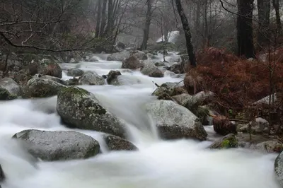 Paisaje cerca de este apartamento