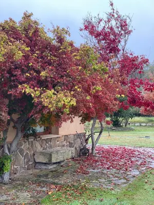 Plano de La Casa De Marta