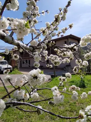 Jardín al aire libre en Complejo Rural Las Palomas