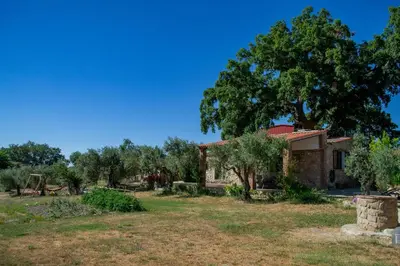 Jardín al aire libre en Casa Rural La Recuera