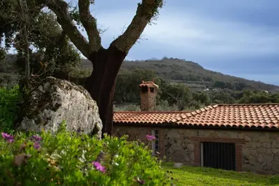 Paisaje cerca de esta casa o chalet