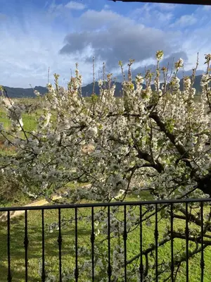 Paisaje cerca de esta casa o chalet