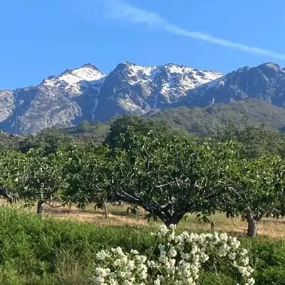MIRADA A GREDOS