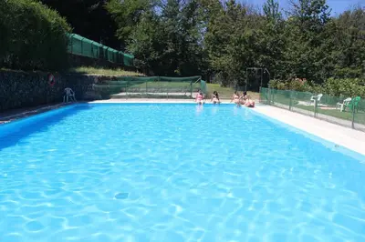 Piscina en o cerca de Hotel Cinco Castaños