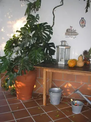 Plano de Casa Rural 