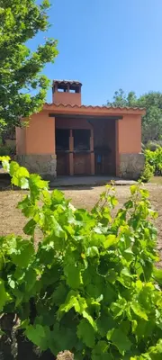 Edificio en el que se encuentra la casa o chalet