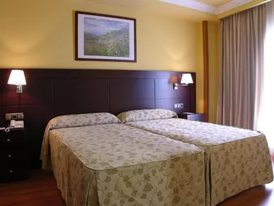 Cama o camas de una habitación en Hotel II Castillas Ávila