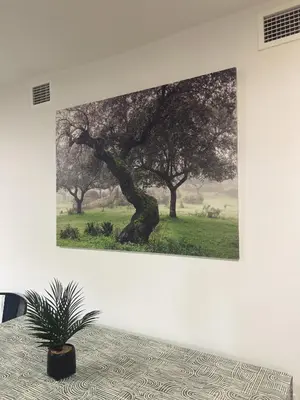 Plano de Casa Rural 