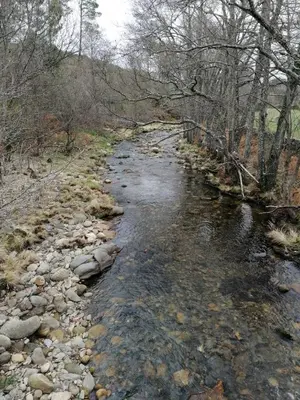 Paisaje cerca de esta casa o chalet
