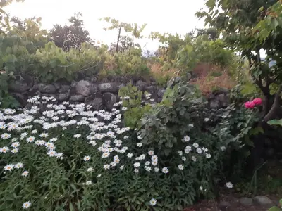Jardín al aire libre en La Celestina