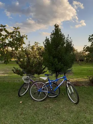Montar en bicicleta en La Celestina o alrededores
