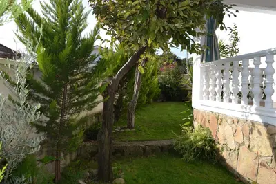 Jardín al aire libre en La lechuza blanca