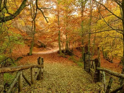 Paisaje cerca de esta villa
