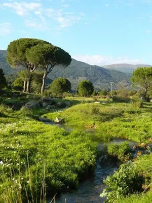 Paisaje cerca de esta casa o chalet