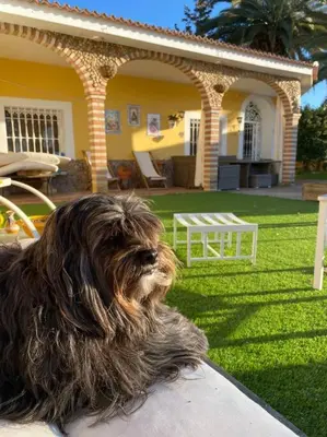 Mascotas con sus dueños en Casa Rural El Limonero