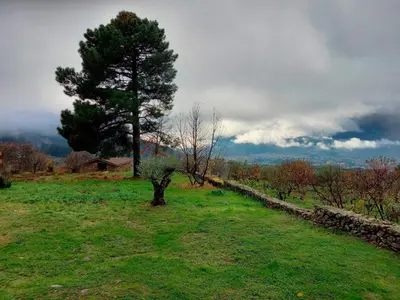 Paisaje cerca de esta casa o chalet