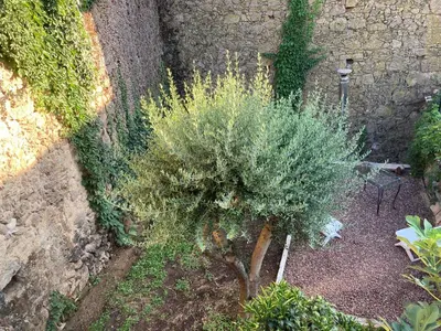 Jardín al aire libre en El jazmín de la Fuente casa rural
