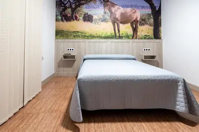 Cama o camas de una habitación en Hostal Viñuela