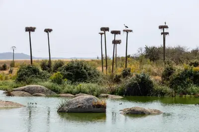 Paisaje cerca de este hotel