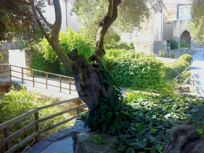 Jardín al aire libre en Hotel Conventual de Alcántara