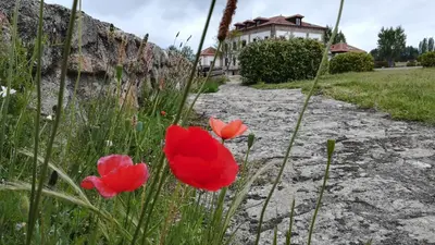 Jardín al aire libre en Izan Puerta de Gredos