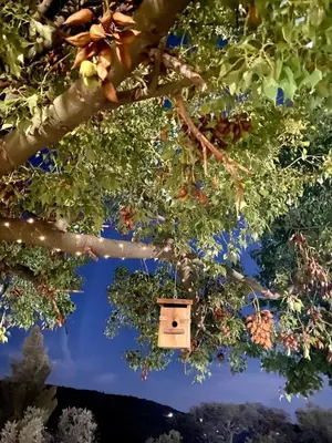 Jardín al aire libre en Casa La Rocita