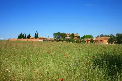 Paisaje cerca de este hotel