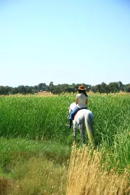 Animales en el hotel o alrededores